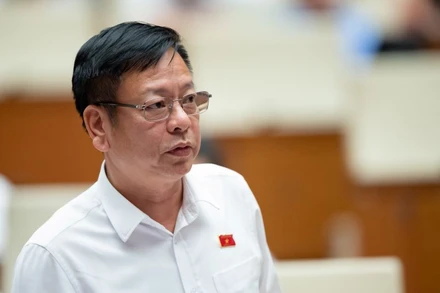 Đại biểu Nguyễn Trường Giang.