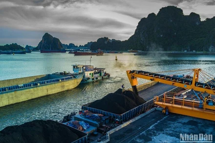 Trong tháng 5 vừa qua, TKV đã hoàn thành vượt mức kế hoạch sản xuất, kinh doanh, tiếp tục giữ vững, duy trì nhịp độ sản xuất ở mức cao.