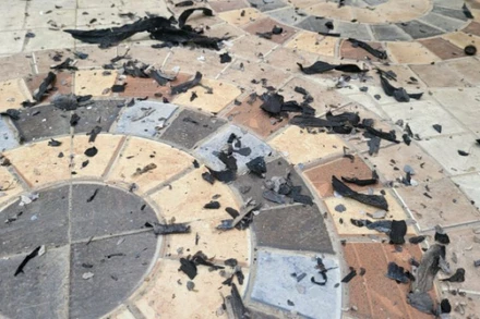 Tàn tro tại đường phố thành phố Điện Biên Phủ vào chiều 7/4 vừa qua.