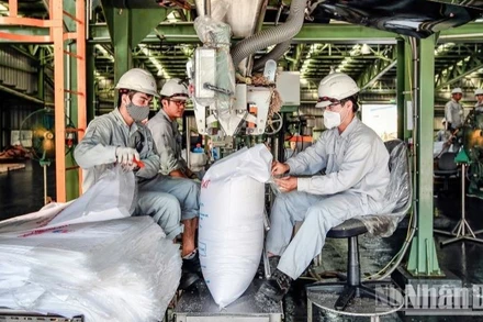 Các đơn vị thành viên TKV đóng gói sản phẩm Alumin đưa đi tiêu thụ.