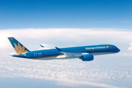 Máy bay của hãng Vietnam Airlines.