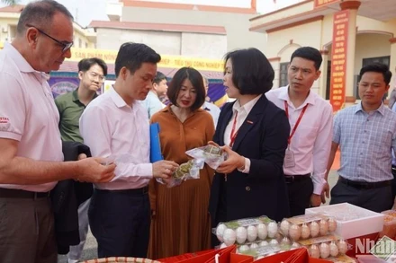 Ban lãnh đạo Central Retail tìm hiểu các đặc sản của tỉnh Hưng Yên giới thiệu tại sự kiện.