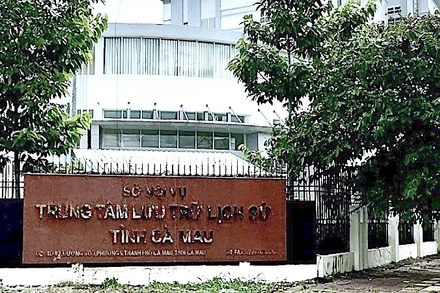 Qua thanh tra, Thanh tra tỉnh Cà Mau phát hiện Trung tâm lưu trữ lịch sử tỉnh Cà Mau xảy ra nhiều sai phạm liên quan đến tài chính. 