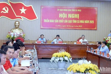 Hội nghị sản xuất lúa gạo tại Cà Mau chiều 18/4.