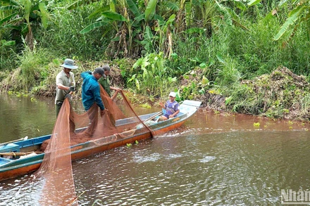 Tái hiện hoạt động chụp đìa bắt cá đồng tại Vườn Quốc gia U Minh hạ.