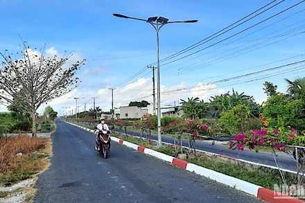 Vùng căn cứ cách mạng miệt rừng Ngọc Hiển (tỉnh Cà Mau) trên đường về đích huyện nông thôn mới. 