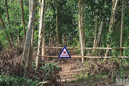 Chủ rừng rào chắn lối vào và gắn biển cấm lửa tại những khu vực cảnh báo cháy cao trên lâm phần rừng ngập ngọt U Minh Hạ. 