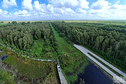 Vườn Quốc gia U Minh hạ có hơn 8.500ha rừng tràm được bảo vệ nghiêm ngặt nhưng hiện đã có hơn 4.800ha cảnh báo cháy cấp 5.