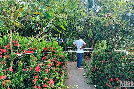 Công an phong tỏa hiện trường khu vực phát hiện 3 người trong một gia đình ở xã Thạnh Phú (huyện Cái Nước, tỉnh Cà Mau) tử vong bất thường.