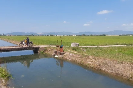 Kênh chính Bắc, đoạn chảy qua huyện Phú Hòa, tỉnh Phú Yên.