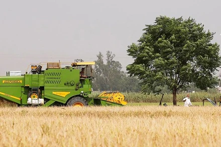 Người dân Ấn Độ áp dụng khoa học-kỹ thuật vào trồng trọt. (Ảnh: MARKETSCREENER)