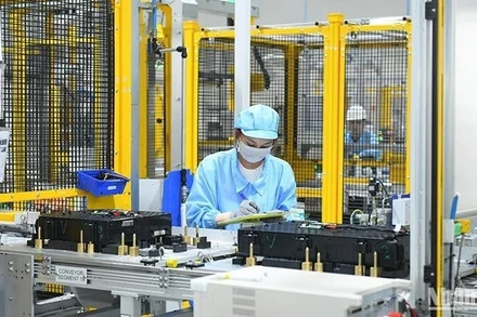 (Ảnh minh họa: Thành Đạt)