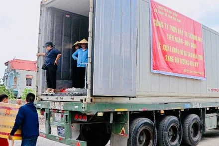 Mía tươi Hòa Bình được sơ chế theo đúng quy trình trước khi xuất khẩu.