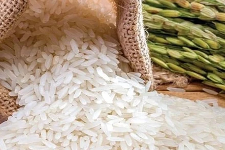 [Infographic] Xuất khẩu gạo Việt Nam qua những con số