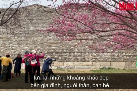 [Video] Người dân Bắc Kinh nô nức du xuân