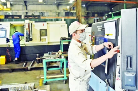 Lao động tại Công ty Tomeco An Khang. Ảnh: ĐĂNG ANH