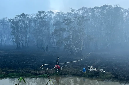 Cháy rừng tại Khu A1 Vườn quốc gia Tràm Chim, ngày 11/6/2024. (Ảnh: HỮU NGHĨA)