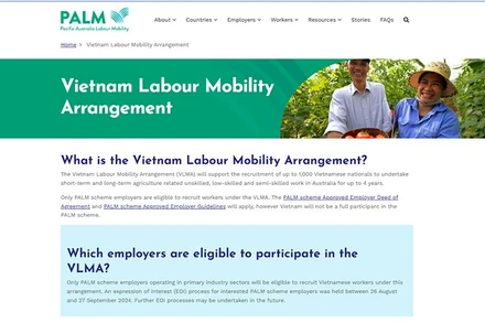 Lao động có thể tìm hiểu thêm về Chương trình VLMA tại website của Chương trình PALM https://www.palmscheme.gov.au/.