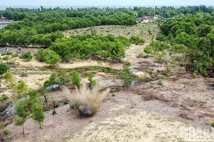 Hoạt động rà phá bom mìn tại Quảng Trị. (Ảnh minh họa: THÀNH ĐẠT)