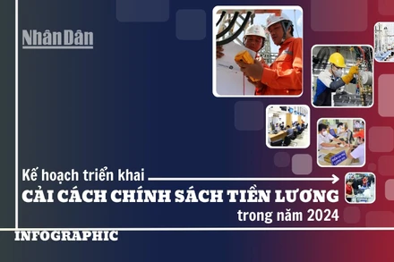 [Infographic] Kế hoạch triển khai cải cách chính sách tiền lương năm 2024