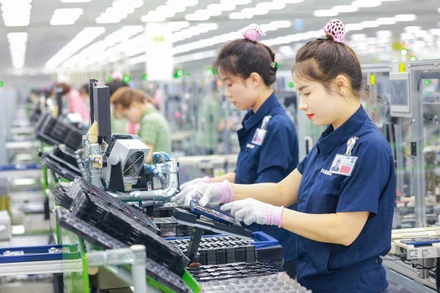 Ảnh minh họa: nhandan.vn.