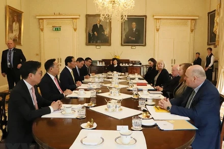 Bộ trưởng Ngoại giao Bùi Thanh Sơn hội kiến Tổng thống Ireland Michael D. Higgins. Ảnh: TTXVN