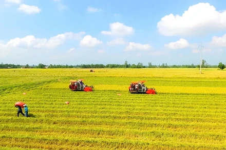 Nâng cao “sức khỏe” đất trồng trọt 