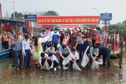 Thả 320 nghìn con giống thủy sản xuống các vùng nước tự nhiên trong tỉnh Thái Bình, tháng 3/2023. Ảnh: MAI TÚ
