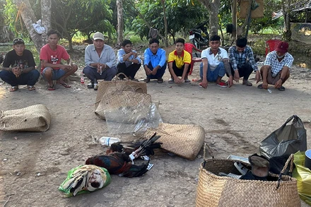 Nhóm đối tượng đánh bạc tại phường Tân Hòa, thành phố Vĩnh Long bị lực lượng công an tỉnh Vĩnh Long bắt giữ. (Ảnh HOÀNG THÂN)