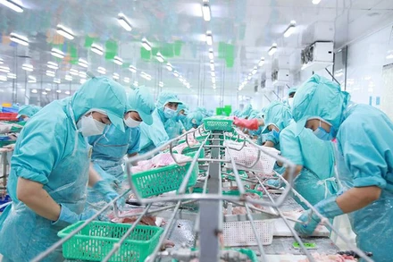 Chế biến, xuất khẩu thủy sản là lĩnh vực đóng góp cao vào doanh thu của Tập đoàn Sao Mai.