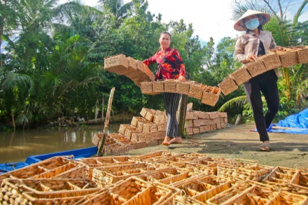 Mô hình đan lục bình giúp giải quyết việc làm, vươn lên thoát nghèo.