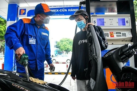 (Ảnh minh họa: THÀNH ĐẠT)