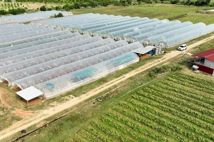 Trang trại Nắng và Gió ở thôn Phú Thuận, xã Mỹ Sơn, huyện Ninh Sơn (Ninh Thuận) áp dụng sản xuất nông nghiệp tuần hoàn theo chu trình khép kín, đem lại hiệu quả kinh tế cao (Ảnh: NGUYỄN TRUNG)