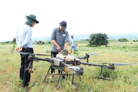 Hỗ trợ nông dân sử dụng phương tiện hiện đại để phun thuốc ngăn ngừa các bệnh gây hại cho ruộng mía.