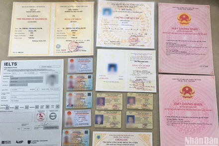 Thu giữ căn cước công dân giả và nhiều loại giấy tờ giả.