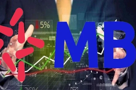 VSD vừa chuyển quyền sở hữu 10.431 cổ phiếu MBB cho các nhà đầu tư. (Ảnh minh họa)