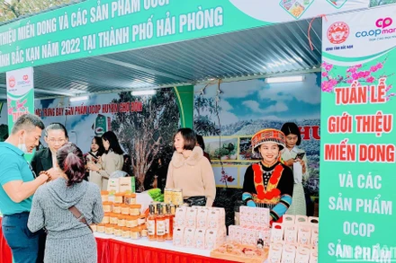 Người dân thành phố Cảng tham quan, mua sắm tại Tuần lễ giới thiệu miến dong và các sản phẩm OCOP, sản phẩm bản địa tỉnh Bắc Kạn.