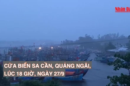 [Video] Mưa lớn tại cửa biển Sa Cần, Quảng Ngãi tối 27/9