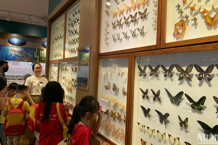 [Ảnh] Cuối tuần vừa chơi, vừa học tại Bảo tàng Thiên nhiên Việt Nam