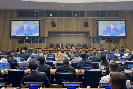 Đại sứ Đặng Hoàng Giang – Trưởng Phái đoàn Thường trực Việt Nam tại LHQ phát biểu tại phiên họp (Nguồn: Phái đoàn Việt Nam tại LHQ)