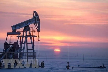 Giếng dầu ở thành phố Almetyevsk, Cộng hòa Tatarstan, Liên bang Nga. (Ảnh: TASS/TTXVN)