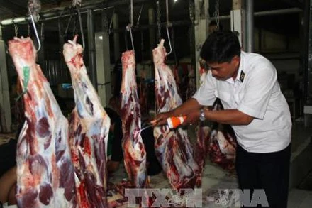 Ảnh minh họa. (Nguồn: TTXVN)