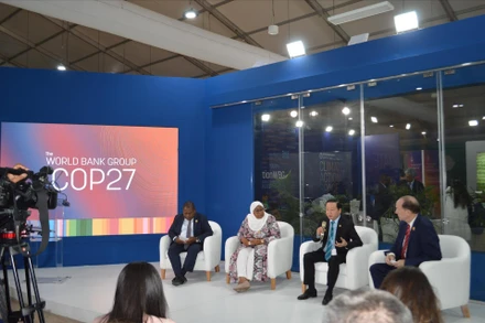 Bộ trưởng Tài nguyên và Môi trường Trần Hồng Hà chia sẻ giải pháp và lộ trình của Việt Nam trong thực hiện các cam kết với WB về chống biến đổi khí hậu. (Ảnh: TTXVN)