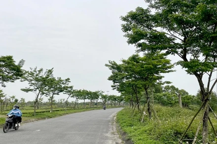 [Video] Truy nã Chủ tịch Công ty Cây xanh Công Minh