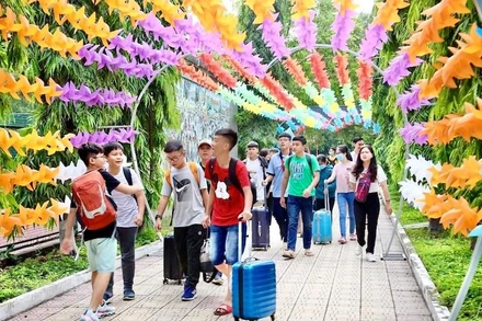 (Ảnh minh hoạ: Hồng Giang/TTXVN)