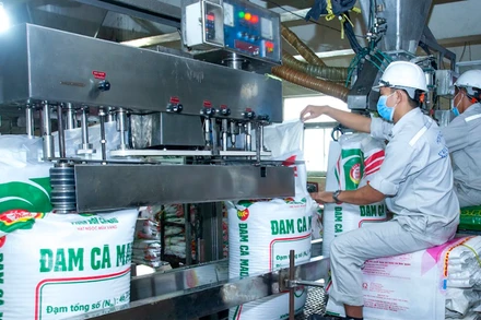 Sản xuất Đạm Cà Mau tại Công ty PVCFC.