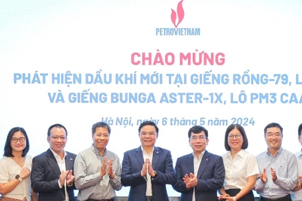 PVN công bố 2 phát hiện dầu khí mới tại mỏ Rồng và mỏ Bunga Aster.