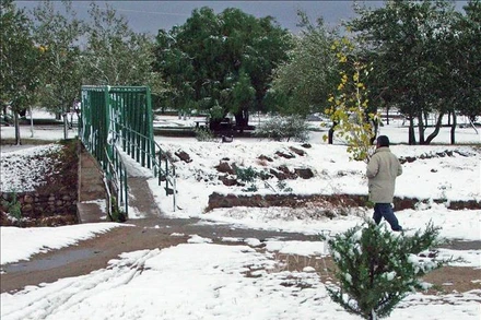 Tuyết phủ trắng xóa tại San Luis, Argentina. Ảnh tư liệu: AFP/TTXVN