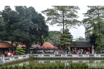 Ảnh minh họa: THÀNH ĐẠT