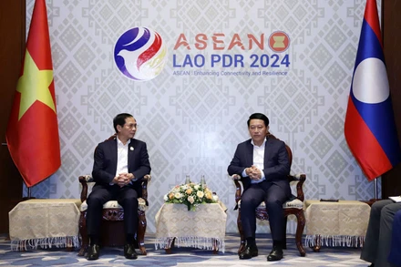 Bộ trưởng Ngoại giao Bùi Thanh Sơn gặp song phương Phó Thủ tướng, Bộ trưởng Ngoại giao Lào Saleumxay Kommasith. Ảnh: TTXVN